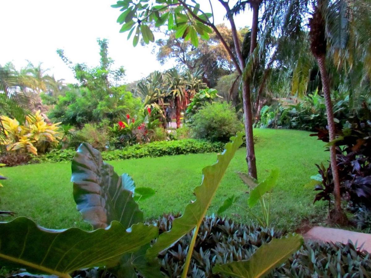 Tamarindo Condo 206 Matapalo Dış mekan fotoğraf